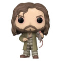 Boneco Funko POP Sirius Black With Rabicho 159 Colecionável Presente Coleção Criança 165 Aliexpress