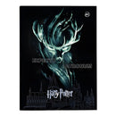 Pasta Catálogo Harry Potter Preto A4 10 Plásticos Expecto Patronum Dac Hogwarts Organização Coleção