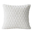 Capa de Almofada Veludo Elegante Presente Sofisticado Confortável Premium Sofa Decoração Luxo Toque Macio